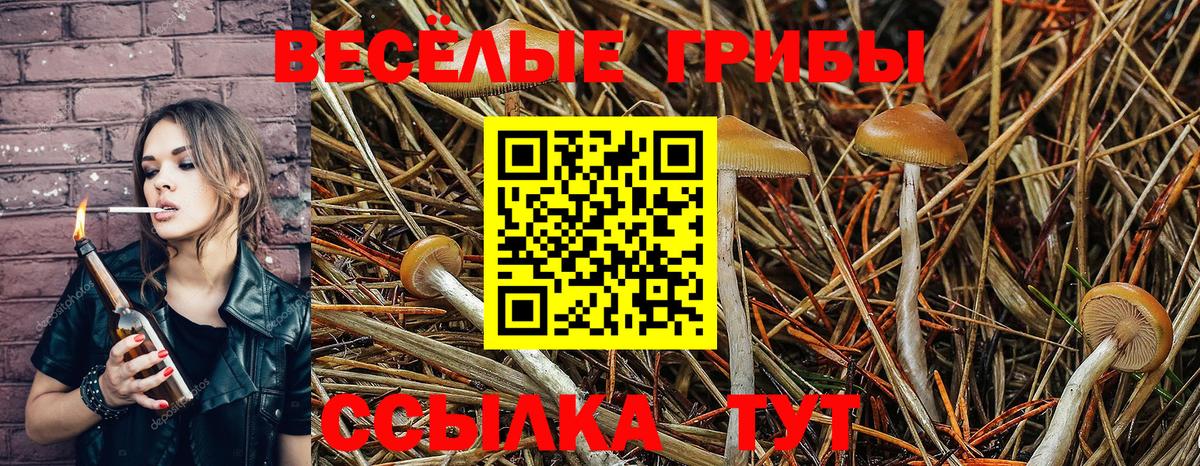 Шали  Галлюциногенные грибы мухоморы  Вход с VPN  Псилоцибиновые грибы Cubensis 
